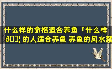 什么样的命格适合养鱼「什么样 🐦 的人适合养鱼 养鱼的风水禁忌」